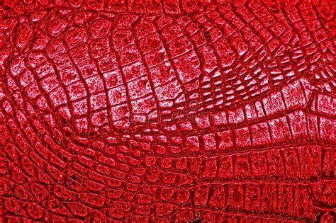 Crocodile Skin Texture in Red Color, As Background Stock Image - Image ...