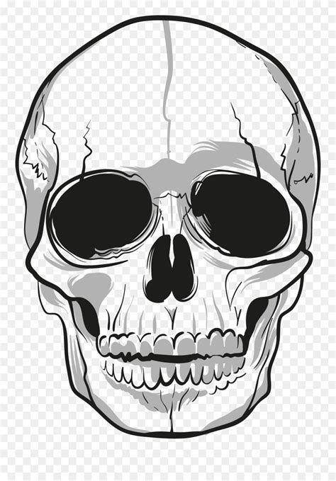 Crazy Skulls Png - Transparent Background Skull Clipart (#5384683 ...