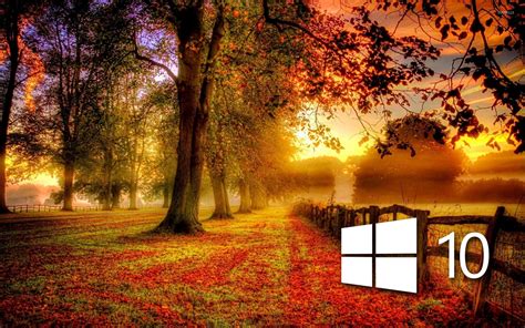 Windows 10 in the fall simple logo wallpaper - Computer wallpapers - #46861