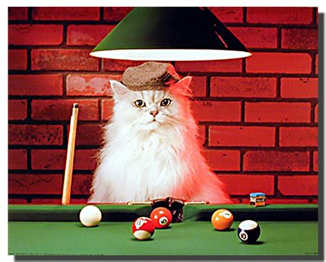 Cat Playing Pool Poster | Animal Posters | Cat Posters