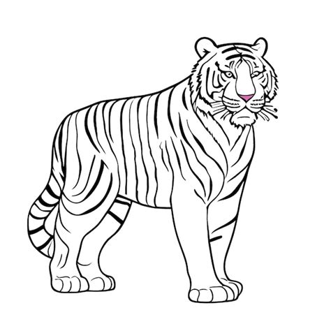 Tiger Outline Images - Free Download on Freepik