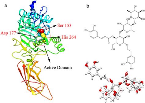 a Crystal structure of lipase (PDB: 1ETH). b Molecular structure of ...