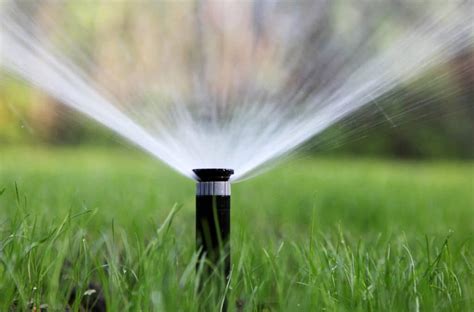 How to Prevent Pop-Up Sprinkler Damage | Perth Reticulation Experts