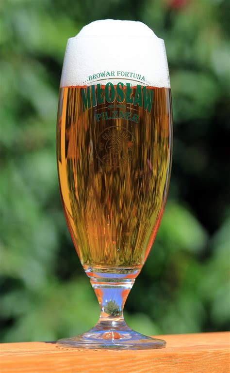 Beer,pokal,glass,serving,ale - free image from needpix.com