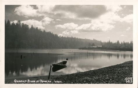 Quinault River at Taholah, Wash Washington Ellis Postcard