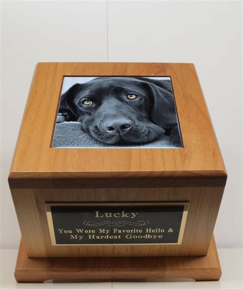 Pet Cremation Urn, Dog Urn with Paw Print - CUSTOM - craibas.al.gov.br