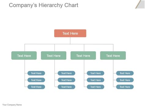 Companys Hierarchy Chart Powerpoint Slide Presentation Tips ...