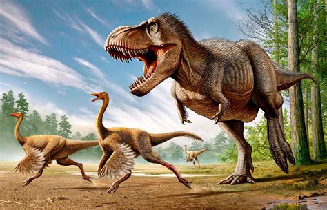 Did Dinosaurs Really Have Feathers? | Britannica