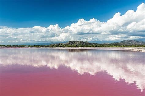 Tickets & Tours - Lake Retba (Lac Rose), Dakar - Viator