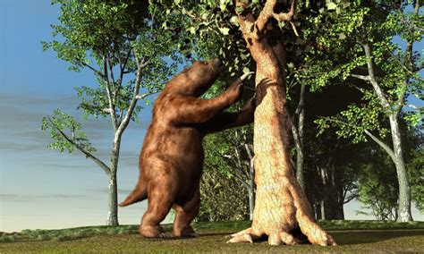 Why Did the Giant Sloth Go Extinct? - A-Z Animals