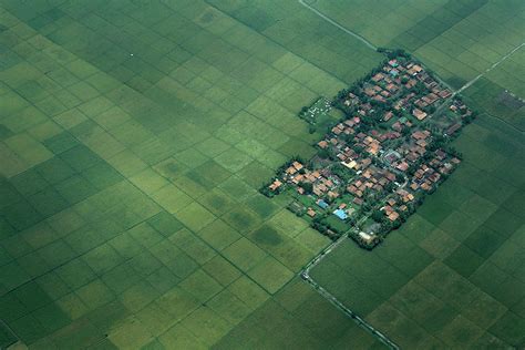 An Aerial View Shows a Paddy Field Photograph by Beawiharta Beawiharta ...