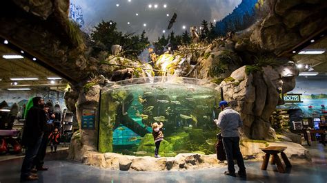 Man arrested after naked dive into aquarium at Alabama Bass Pro Shop ...