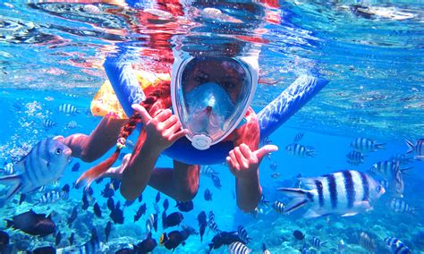 Snorkel Safari with new mask, Things to do in Bora Bora | Tahiti.com