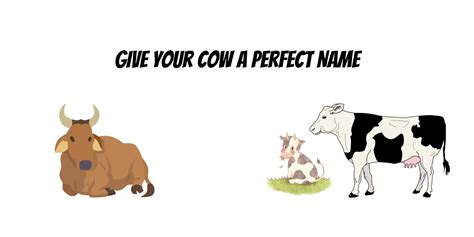 Cow Names | 500+ Unique and Cute and Perfect Names [2024]