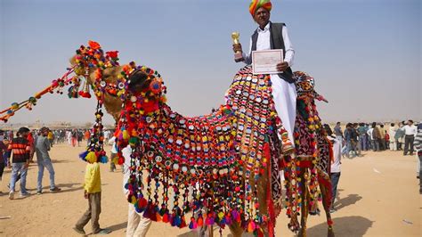 Camel Decoration Competition at Desert Festival Jaisalmer 2018 ...