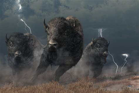 Buffalo Storm Digital Art by Daniel Eskridge - Fine Art America