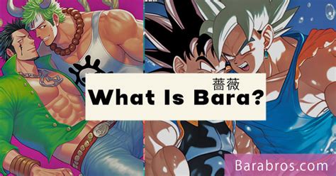 What is Bara? (Genre) – Barabros