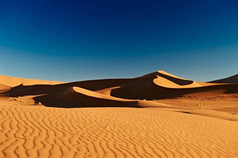 Focus: A beginner's guide to photographing the desert