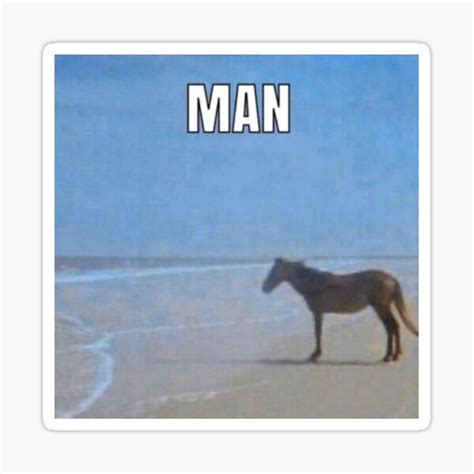 horse on beach meme - Micheal Joerger