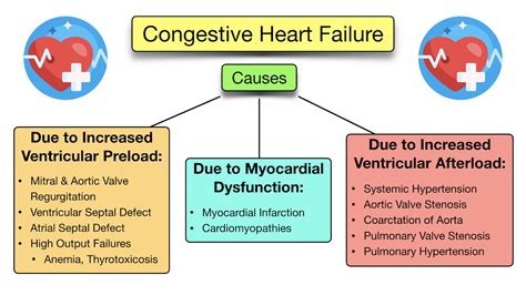 Congestive Heart Failure: Symptoms, Stages, Treatment, Diagnosis ...