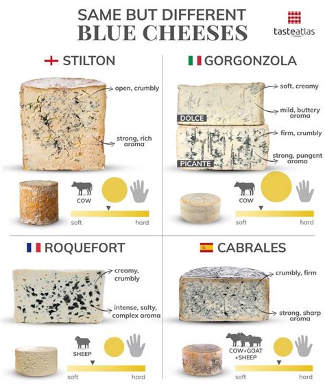 Blue Cheeses of the World: 116 Blue Cheese Types | TasteAtlas | Cheese ...