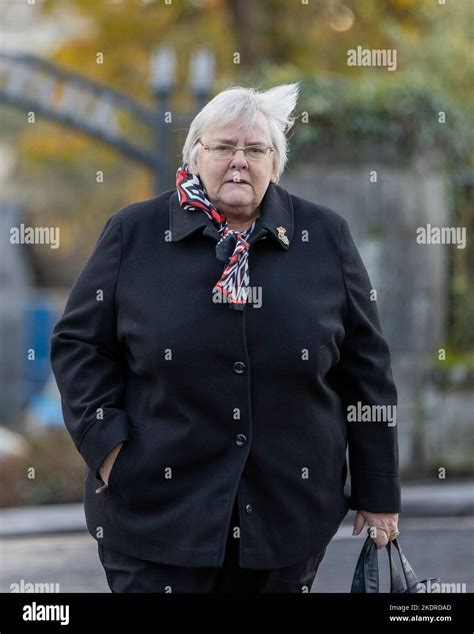 Rosemary Barton, former UUP MLA, attending an act of remembrance to ...