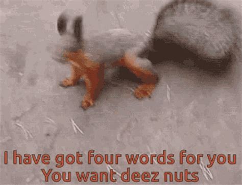 Squirrel IHave Got Words GIF - Squirrel IHaveGotWords ForYou - Discover ...