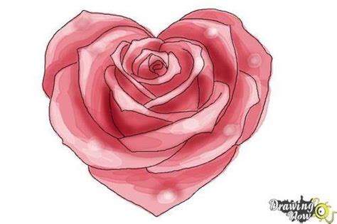 50 Easy Ways to Draw a Rose - Learn How to Draw a Rose | Roses drawing ...