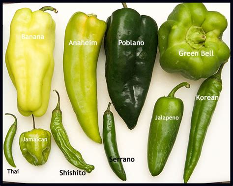 Beyond the Basics: Chile Peppers | Stuffed peppers, Types of peppers ...