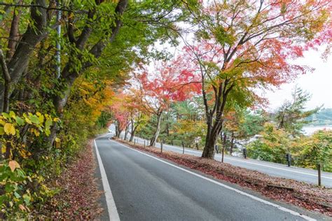 Autumn Leaves at Kawaguchi Lake Stock Image - Image of bright, country ...