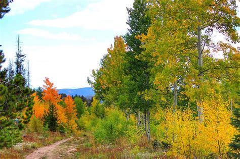 4 Fantastic Spots to Find Fall Colors in Winter Park, Colorado - Epic ...