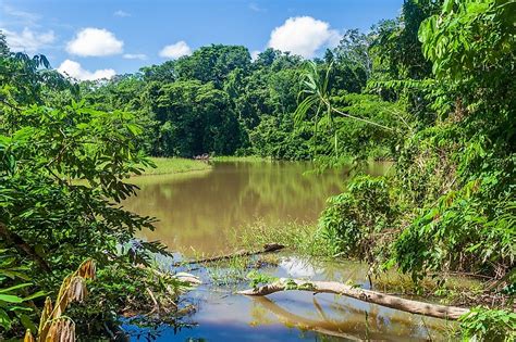 Madidi National Park, Bolivia - WorldAtlas