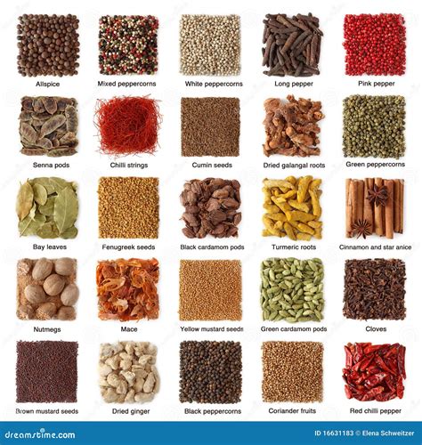 Indian spices collection stock image. Image of oriental - 16631183