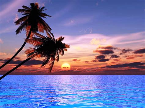 Beautiful Beach Sunset, beach, coconut, palm, sunset, trees, sky, sea ...