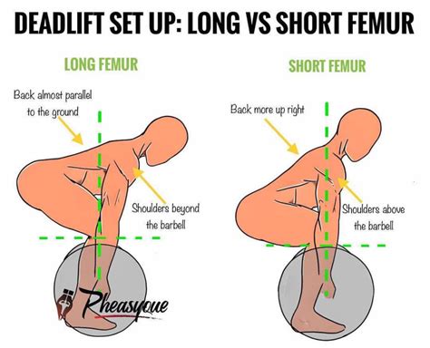 The Everyday Hip-Hinge - Stride Physio