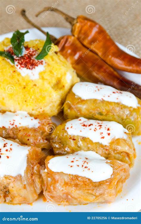 Romanian recipe - Sarmale stock photo. Image of meal - 22705256