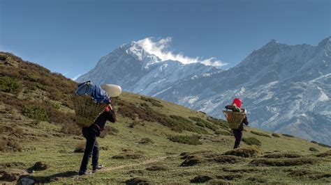 Trekking in Sikkim - Sikkim Trekking Tours & Sikkim Adventure Travel Guide