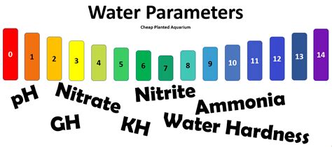 The Ultimate Guide: 7 Critical Aquarium Water Parameters