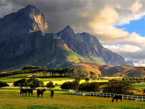 Franschhoek-tours-wine.jpg