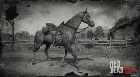 Turkoman Horse | RDR2 Horse Breeds Coats, Locations & Stats