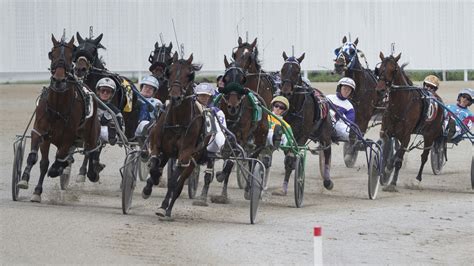 Harness racing: A Northfield Pick 3 on tap for Saturday | The ...