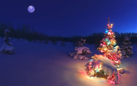 Wallpaper Of A Christmas Tree In Snowy Night | Free Wallpaper World