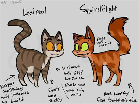 Leafpool the kittypet and squirrelflight the warrior | Warrior cats ...