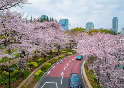 Tokyo Roppongi｜Roppongi Station Area Map & Sightseeing Information ...