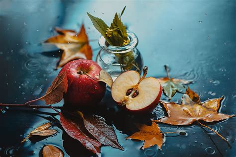 I Illustrate Moments Of Autumn And Rain With Still-Life Photography ...