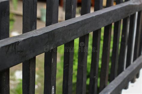 Black iron fence stock photo. Image of tree, black, iron - 276432420