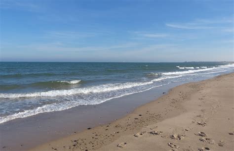 Fabulous day at Warkworth Beach