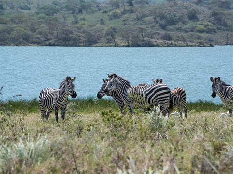 Arusha National Park | Kessy Brothers