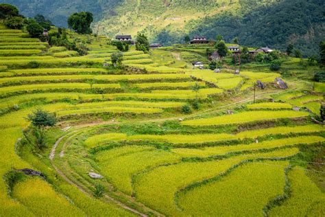 Ghandruk Gurung Village Trek From Pokhara - Kated