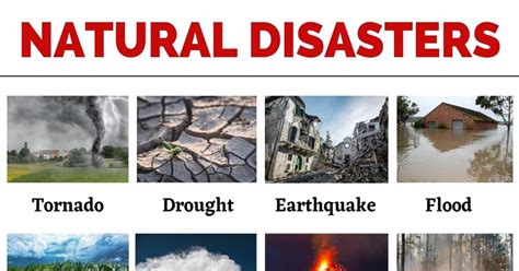 Natural disasters | Тест на 14 запитань. Англійська мова